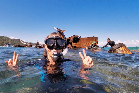 Best Of Moreton Bay Cruise - Lismore Accommodation 4