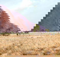 Uluru Sunrise and Guided Base Walk - Lismore Accommodation