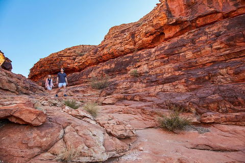 Kings Canyon Guided Rim Walk - Lismore Accommodation 0