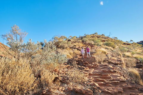 Kings Canyon Guided Rim Walk - Lismore Accommodation 1