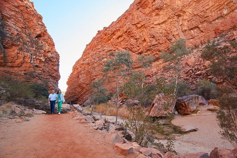 Best Of Alice Springs Full Day Tour - Lismore Accommodation 1
