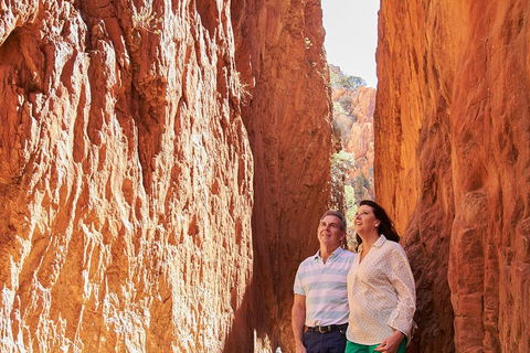 Best Of Alice Springs Full Day Tour - Lismore Accommodation 4
