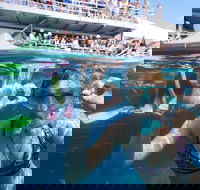 Great Barrier Reef Day Cruise from Cairns Including Snorkeling and Marine Biologist Presentation - Lismore Accommodation