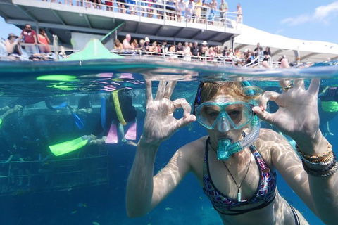 Great Barrier Reef Day Cruise From Cairns Including Snorkeling And Marine Biologist Presentation - Lismore Accommodation 0