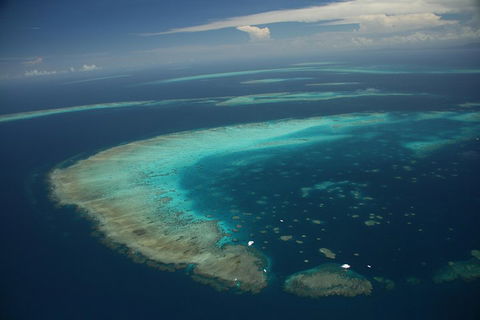 Great Barrier Reef Day Cruise From Cairns Including Snorkeling And Marine Biologist Presentation - Lismore Accommodation 1