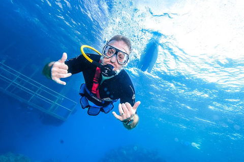 Great Barrier Reef Day Cruise From Cairns Including Snorkeling And Marine Biologist Presentation - Lismore Accommodation 3