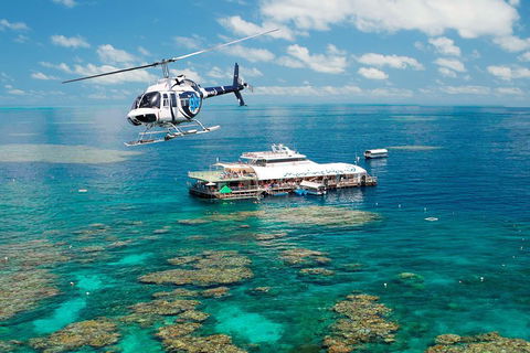 Great Barrier Reef Day Cruise From Cairns Including Snorkeling And Marine Biologist Presentation - Lismore Accommodation 5