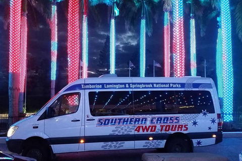 Evening Rainforest & Glow Worm Experience - Lismore Accommodation 0