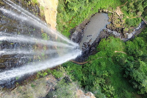 Natural Bridge & Springbrook Waterfalls Tour + Hot Air Balloon With Breakfast - Lismore Accommodation 1