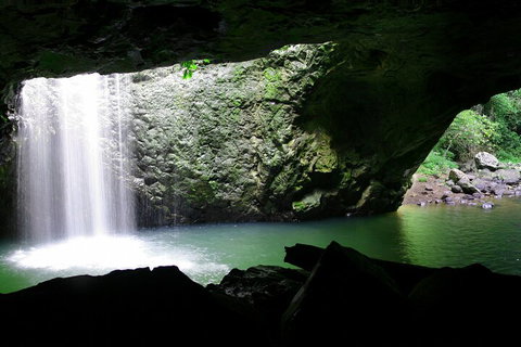 Natural Bridge & Springbrook Waterfalls Tour + Hot Air Balloon With Breakfast - Lismore Accommodation 2