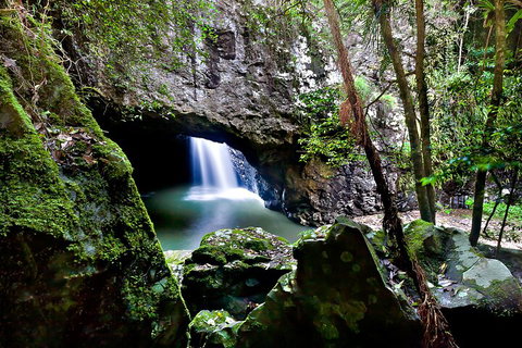 Natural Bridge & Springbrook Waterfalls Tour + Hot Air Balloon With Breakfast - Lismore Accommodation 4