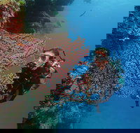 Silversonic Outer Great Barrier Reef Dive and Snorkel Cruise from Port Douglas - Lismore Accommodation