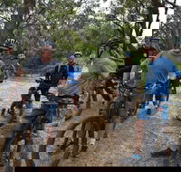 Fully guided E-Mountain Bike Tour on the beautiful Mornington Peninsula. - Lismore Accommodation