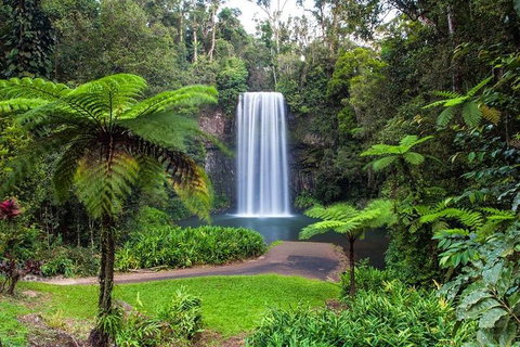 Cairns & Port Douglas All-Inclusive 7 Days Touring Package - Lismore Accommodation 2