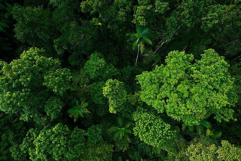 Cairns & Port Douglas All-Inclusive 7 Days Touring Package - Lismore Accommodation 4