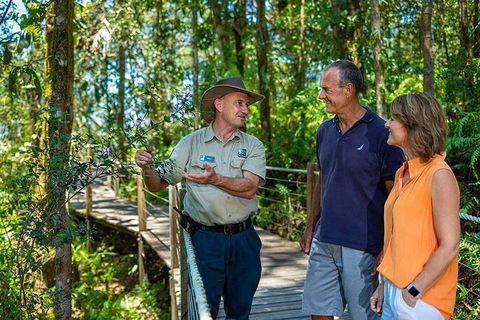 Kuranda Scenic Railway Day Trip From Cairns - Lismore Accommodation 1