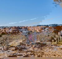 The Amazing Kings Canyon 4-Hours Walking Tour and Hike - Lismore Accommodation