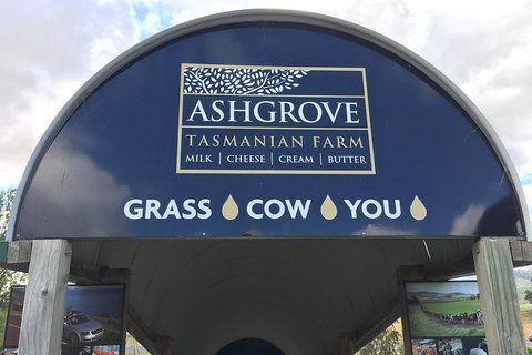 3-Day Tasmania Combo: Launceston To Hobart Active Tour Including Cradle Mountain, Freycinet National Park And Port Arthur - Lismore Accommodation 4