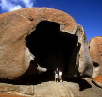 Full-Day Kangaroo Island Safari from Penneshaw - Lismore Accommodation