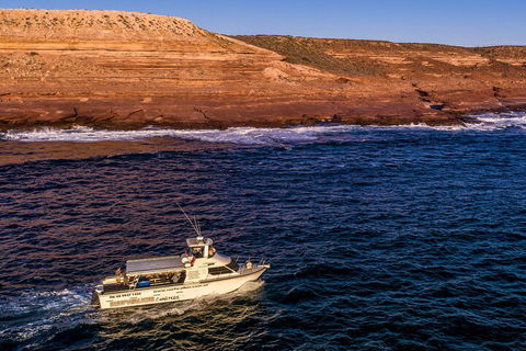 Kalbarri Sunset Coastal Cliff Cruise - Lismore Accommodation 4