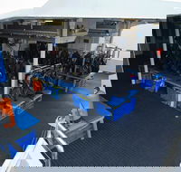 Silverswift Outer Great Barrier Reef Dive and Snorkel Cruise from Cairns - Lismore Accommodation