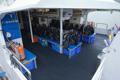 Silverswift Outer Great Barrier Reef Dive And Snorkel Cruise From Cairns - Lismore Accommodation 0