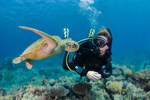 Silverswift Outer Great Barrier Reef Dive And Snorkel Cruise From Cairns - Lismore Accommodation 2