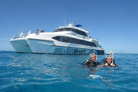 Silverswift Outer Great Barrier Reef Dive And Snorkel Cruise From Cairns - Lismore Accommodation 4