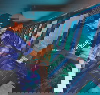 Great Barrier Reef Adventure from Cairns - Lismore Accommodation