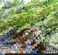 Cape Tribulation Mossman Gorge and Daintree Rainforest Day Trip from Cairns or Port Douglas - Lismore Accommodation