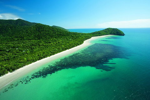 Cape Tribulation, Mossman Gorge, And Daintree Rainforest Day Trip From Cairns Or Port Douglas - Lismore Accommodation 2