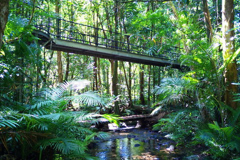 Cape Tribulation, Mossman Gorge, And Daintree Rainforest Day Trip From Cairns Or Port Douglas - Lismore Accommodation 3