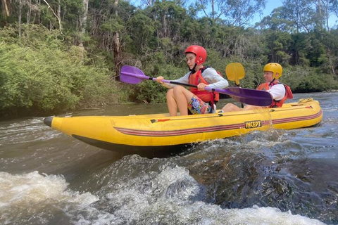 Yarra River Half-Day Rafting Experience - Lismore Accommodation 1