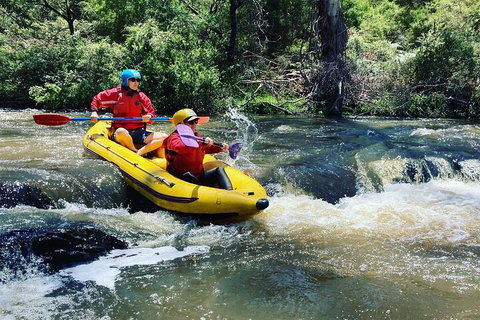 Yarra River Half-Day Rafting Experience - Lismore Accommodation 4