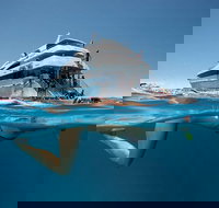 3 Day Great Barrier Reef Daintree Rainforest and Outback Chillagoe Tour - Lismore Accommodation