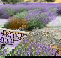 Kangaroo Island Food and Wine Trail Tour - Lismore Accommodation