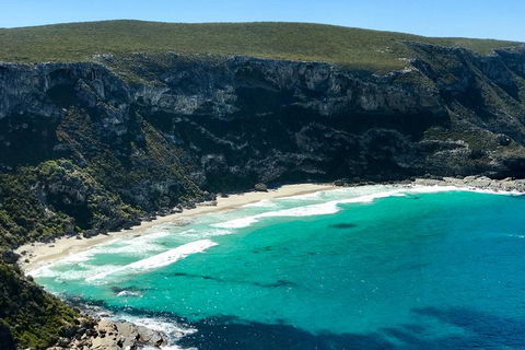 Kangaroo Island Scenic Trail Tour - Lismore Accommodation 4