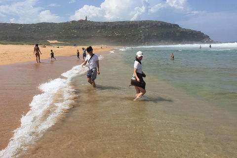 Small-Group Sydney's Northern Beaches And Ku-ring-gai National Park Bus Tour - Lismore Accommodation 5