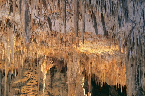 Margaret River, Caves, Wine And Cape Leeuwin Lighthouse Tour From Perth - Lismore Accommodation 3