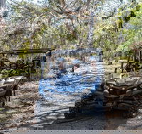 Small-Group Buggy Tour at Little Sahara with Guide - Lismore Accommodation