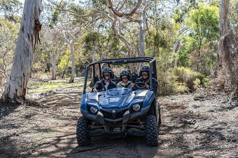 Small-Group Buggy Tour At Little Sahara With Guide - Lismore Accommodation 0