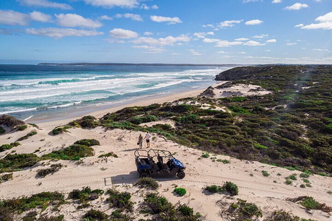 Small-Group Buggy Tour At Little Sahara With Guide - Lismore Accommodation 1