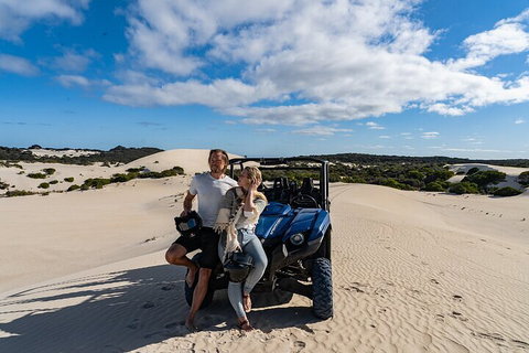 Small-Group Buggy Tour At Little Sahara With Guide - Lismore Accommodation 2