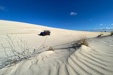 Small-Group Buggy Tour At Little Sahara With Guide - Lismore Accommodation 3