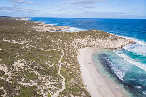 Small-Group Buggy Tour At Little Sahara With Guide - Lismore Accommodation 4