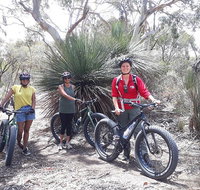 2 Hour Bike Tour in Kangaroo Island - Lismore Accommodation