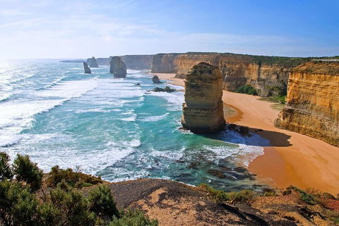 Great Ocean Road Small-Group Ecotour From Melbourne - Lismore Accommodation 2