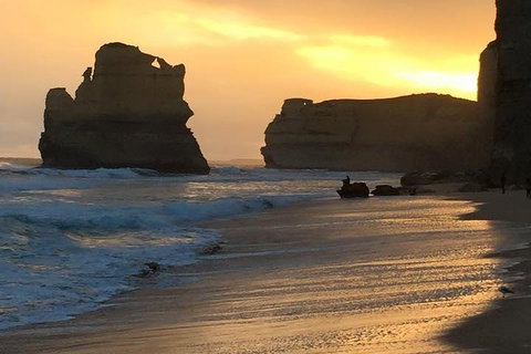 Great Ocean Road Small-Group Ecotour From Melbourne - Lismore Accommodation 5