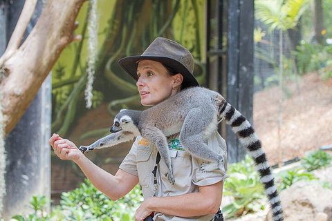 Currumbin Wildlife Sanctuary General Entry Ticket - Lismore Accommodation 1