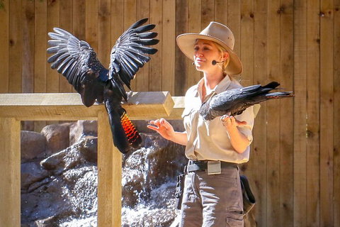 Currumbin Wildlife Sanctuary General Entry Ticket - Lismore Accommodation 4